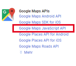 Google Maps API