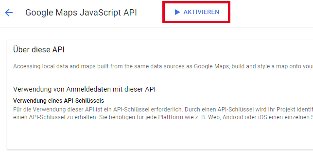 Google Maps API
