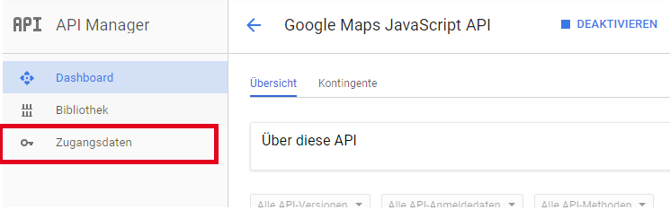 Google Maps API